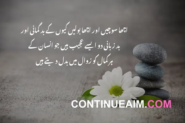 Motivation Quotes in Urdu