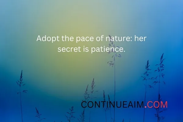 Short Nature Quotes