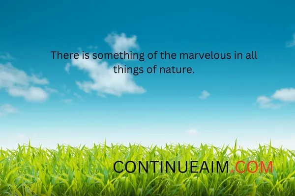 Short Nature Quotes