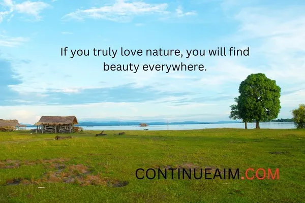 Short Nature Quotes