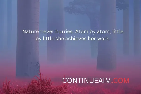 Short Nature Quotes