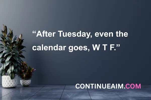 Very Short Funny Quotes