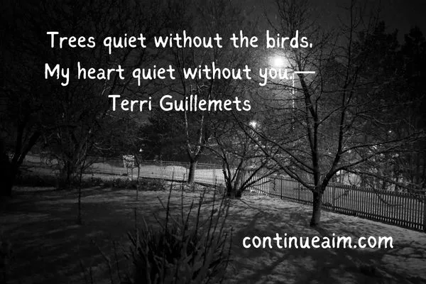 Indirectly Saying I Miss You Quotes