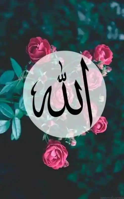 Allah Name DP