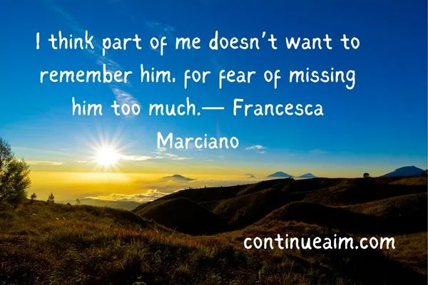 Indirectly Saying I Miss You Quotes