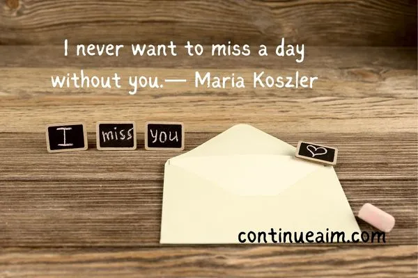 Indirectly Saying I Miss You Quotes