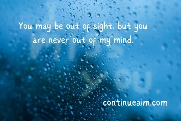 Indirectly Saying I Miss You Quotes