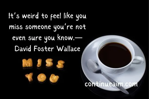 Indirectly Saying I Miss You Quotes