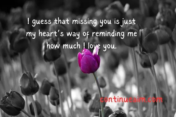 Indirectly Saying I Miss You Quotes