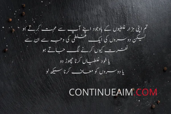 Sorry Quotes in Urdu