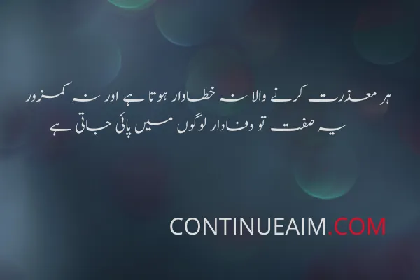 Sorry Quotes in Urdu
