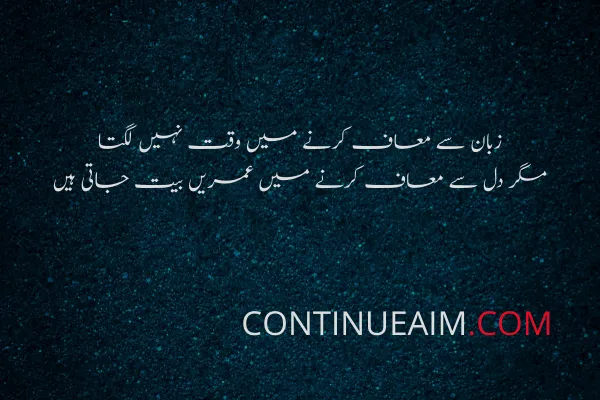 Sorry Quotes in Urdu