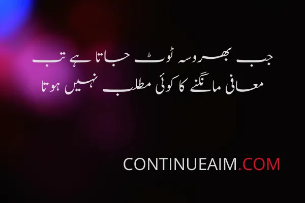 Sorry Quotes in Urdu