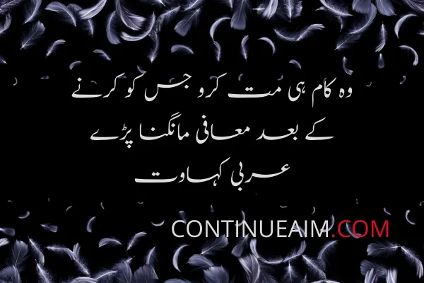 Sorry Quotes in Urdu
