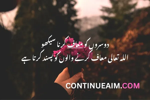 Sorry Quotes in Urdu
