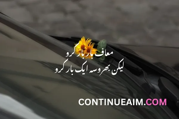 Sorry Quotes in Urdu
