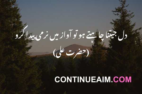 Hazrat Ali Quotes in Urdu