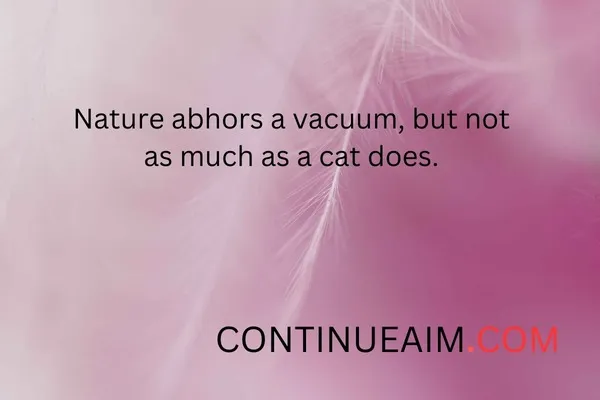 Very Short Funny Quotes