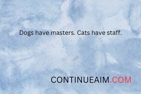 Very Short Funny Quotes