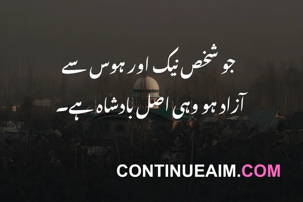 Maulana Rumi Quotes in Urdu
