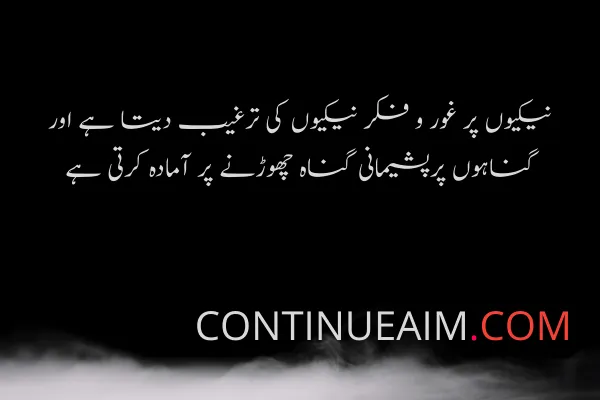 Islamic Quotes in Urdu