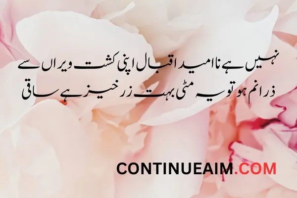 Alama Iqbal Quotes in Urdu