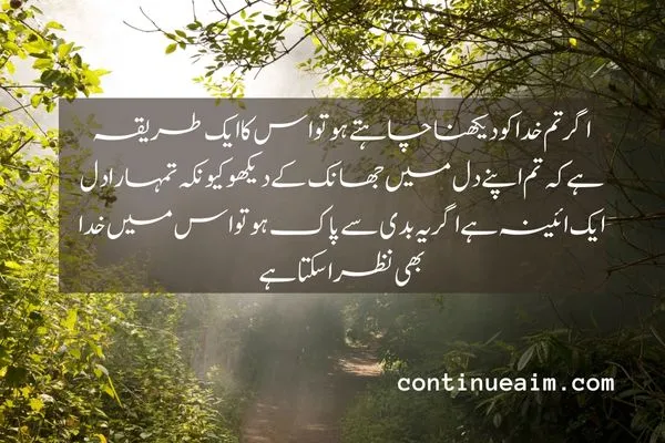 Maulana Rumi Quotes in Urdu