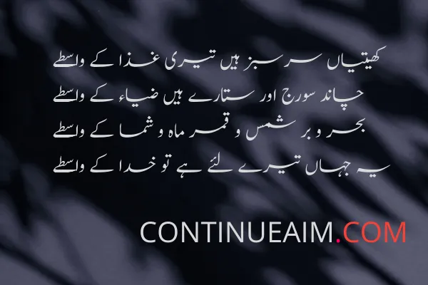 Islamic Quotes in Urdu