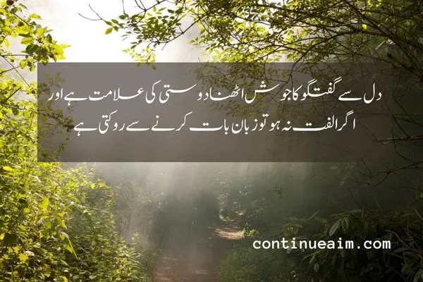 Maulana Rumi Quotes in Urdu