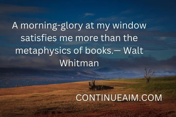 Good Morning Blessings Quotes