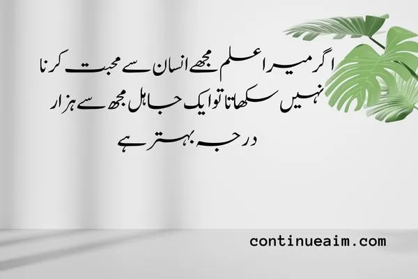 Maulana Rumi Quotes in Urdu
