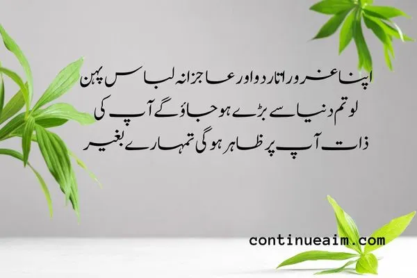 Maulana Rumi Quotes in Urdu