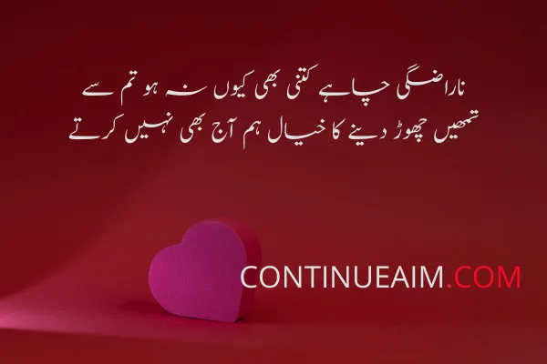Love Quotes in Urdu