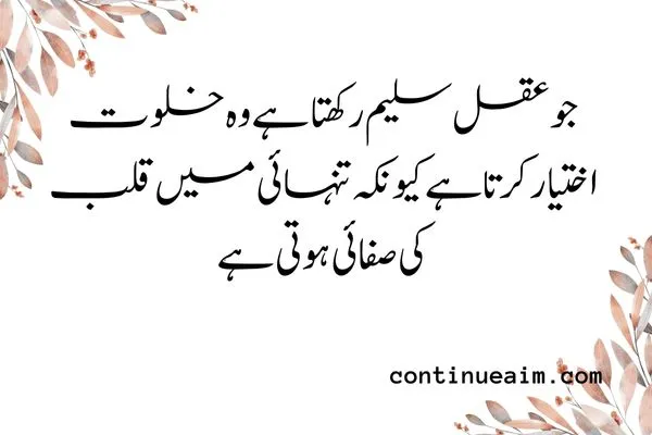 Maulana Rumi Quotes in Urdu