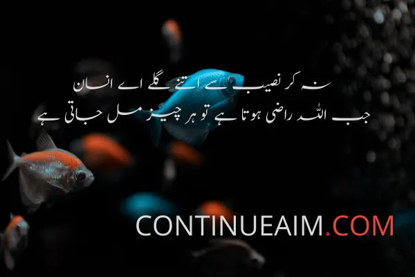 Islamic Quotes in Urdu