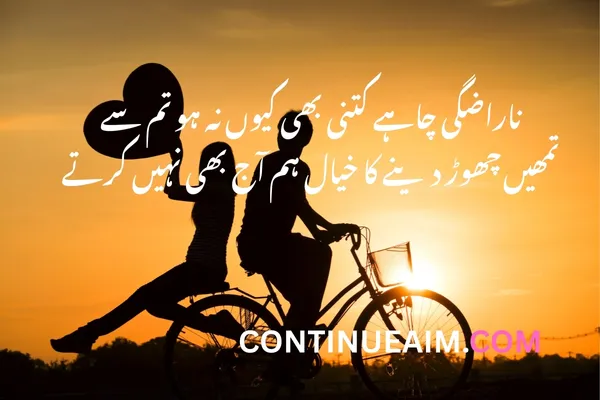 Love Quotes in Urdu