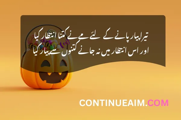 Funny Quotes in Urdu