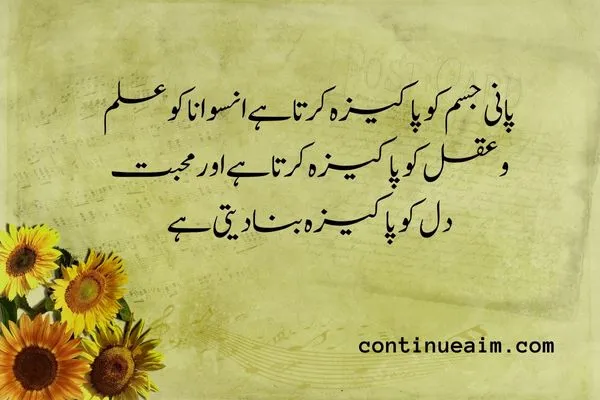 Maulana Rumi Quotes in Urdu