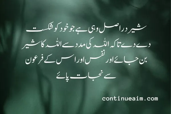 Maulana Rumi Quotes in Urdu