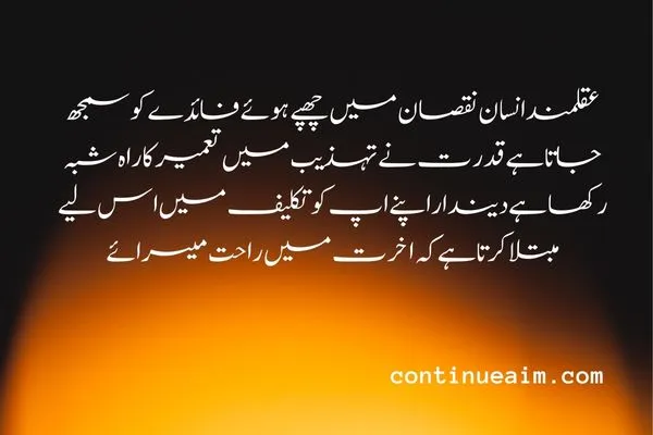 Maulana Rumi Quotes in Urdu