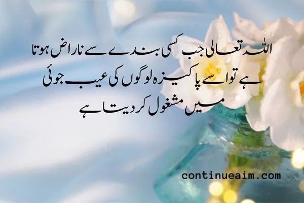 Maulana Rumi Quotes in Urdu