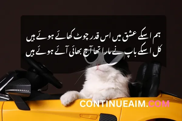 Funny Quotes in Urdu