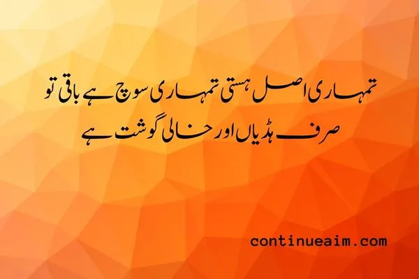 Maulana Rumi Quotes in Urdu