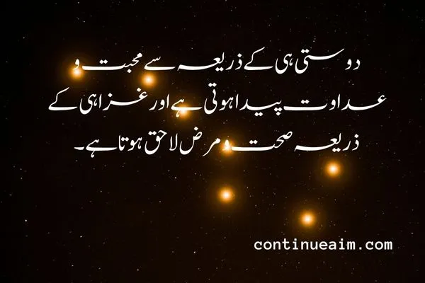 Maulana Rumi Quotes in Urdu