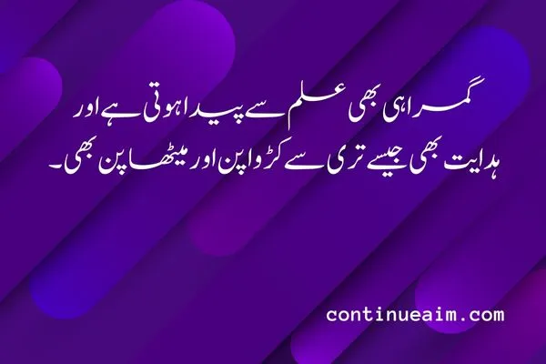 Maulana Rumi Quotes in Urdu