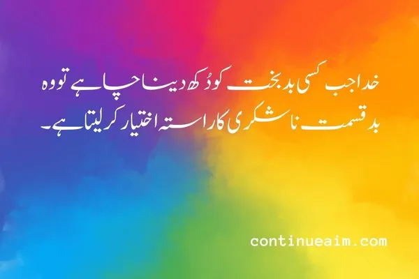 Maulana Rumi Quotes in Urdu