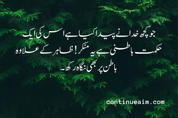 Maulana Rumi Quotes in Urdu