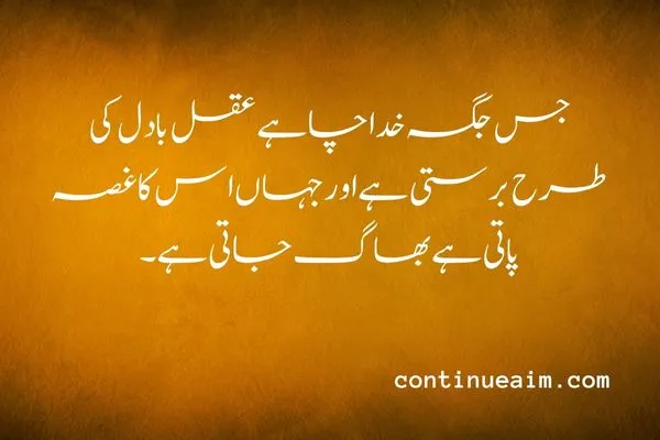 Maulana Rumi Quotes in Urdu