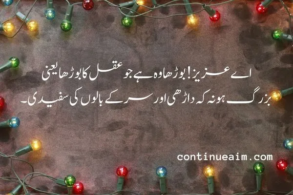 Maulana Rumi Quotes in Urdu