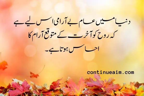 Maulana Rumi Quotes in Urdu